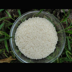 دانه های برنج طارم ممتاز معطر - سفید چشمه