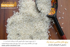 نمونه برنج طارم هاشمی سورت و بوجار شده - سفیدچشمه