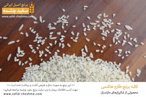 نمونه ای از لاشه برنج طارم هاشمی