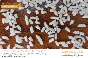 نمونه ای از لاشه برنج طارم هاشمی